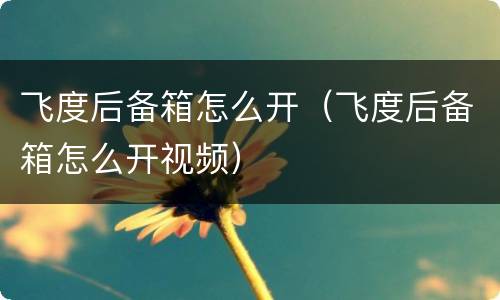 飞度后备箱怎么开（飞度后备箱怎么开视频）