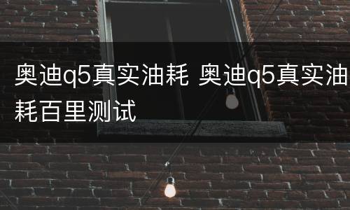 奥迪q5真实油耗 奥迪q5真实油耗百里测试