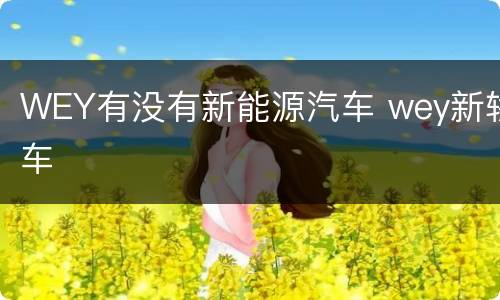 WEY有没有新能源汽车 wey新轿车
