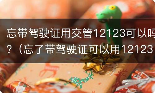 忘带驾驶证用交管12123可以吗?（忘了带驾驶证可以用12123么）