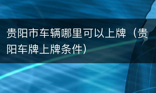 贵阳市车辆哪里可以上牌（贵阳车牌上牌条件）