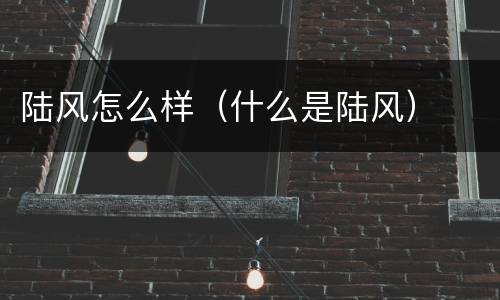 陆风怎么样（什么是陆风）