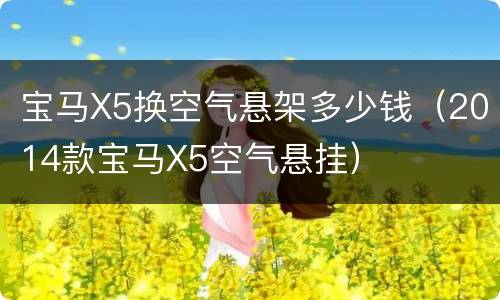 宝马X5换空气悬架多少钱（2014款宝马X5空气悬挂）