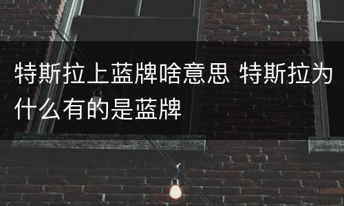 特斯拉上蓝牌啥意思 特斯拉为什么有的是蓝牌