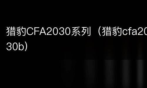 猎豹CFA2030系列（猎豹cfa2030b）