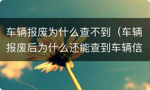 车辆报废为什么查不到（车辆报废后为什么还能查到车辆信息）
