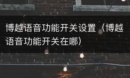 博越语音功能开关设置（博越语音功能开关在哪）