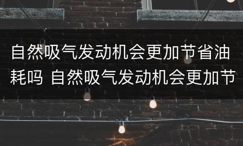 自然吸气发动机会更加节省油耗吗 自然吸气发动机会更加节省油耗吗对吗