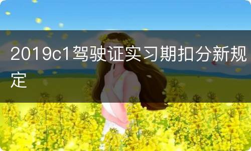 2019c1驾驶证实习期扣分新规定