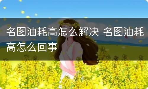 名图油耗高怎么解决 名图油耗高怎么回事