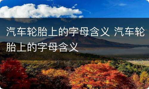 汽车轮胎上的字母含义 汽车轮胎上的字母含义