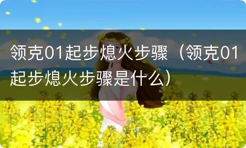 领克01起步熄火步骤（领克01起步熄火步骤是什么）