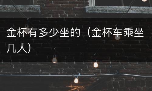 金杯有多少坐的（金杯车乘坐几人）