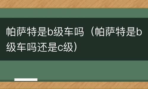 帕萨特是b级车吗（帕萨特是b级车吗还是c级）
