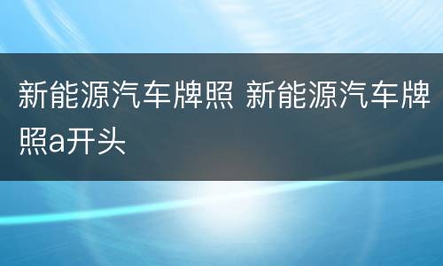 新能源汽车牌照 新能源汽车牌照a开头