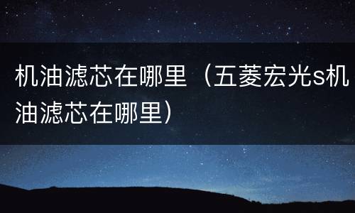 机油滤芯在哪里（五菱宏光s机油滤芯在哪里）