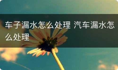 车子漏水怎么处理 汽车漏水怎么处理