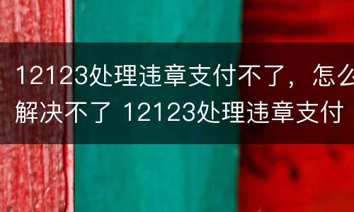 12123处理违章支付不了，怎么解决不了 12123处理违章支付不了,怎么解决不了呢