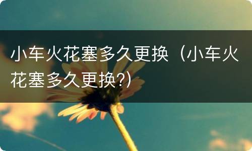 小车火花塞多久更换（小车火花塞多久更换?）