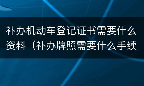 补办机动车登记证书需要什么资料（补办牌照需要什么手续）