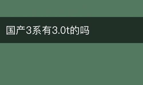 国产3系有3.0t的吗