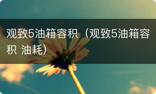 观致5油箱容积（观致5油箱容积 油耗）