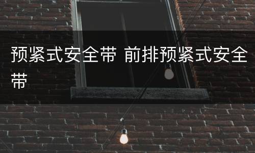 预紧式安全带 前排预紧式安全带