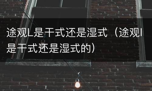 途观L是干式还是湿式（途观l是干式还是湿式的）