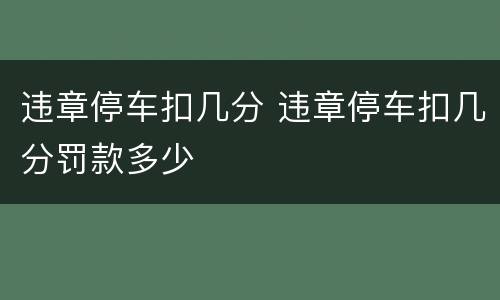 违章停车扣几分 违章停车扣几分罚款多少