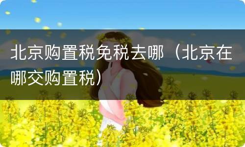 北京购置税免税去哪（北京在哪交购置税）