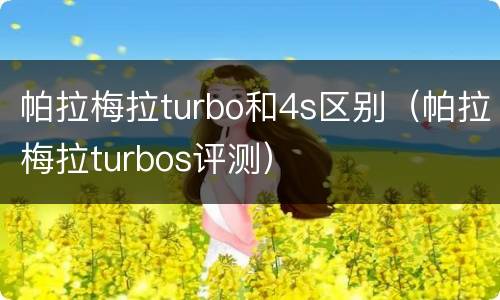 帕拉梅拉turbo和4s区别（帕拉梅拉turbos评测）