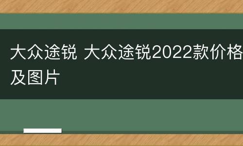 大众途锐 大众途锐2022款价格及图片