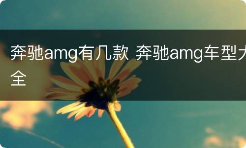 奔驰amg有几款 奔驰amg车型大全
