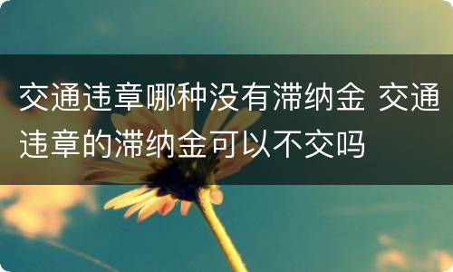 交通违章哪种没有滞纳金 交通违章的滞纳金可以不交吗
