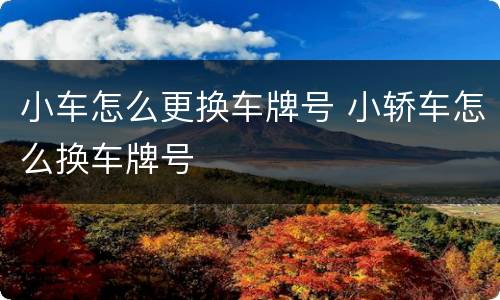 小车怎么更换车牌号 小轿车怎么换车牌号