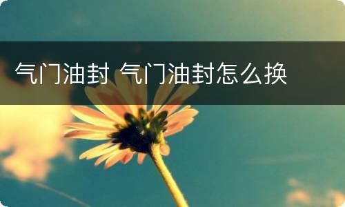 气门油封 气门油封怎么换