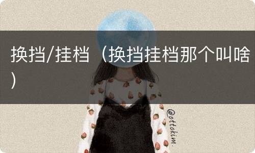 换挡/挂档（换挡挂档那个叫啥）