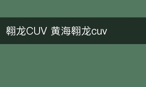 翱龙CUV 黄海翱龙cuv