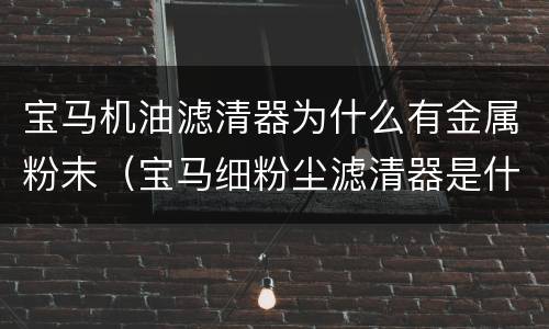 宝马机油滤清器为什么有金属粉末（宝马细粉尘滤清器是什么）
