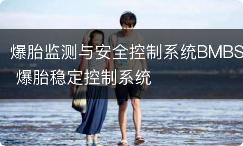爆胎监测与安全控制系统BMBS 爆胎稳定控制系统