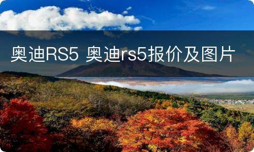 奥迪RS5 奥迪rs5报价及图片