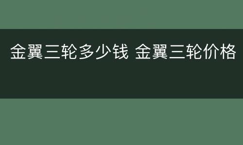 金翼三轮多少钱 金翼三轮价格