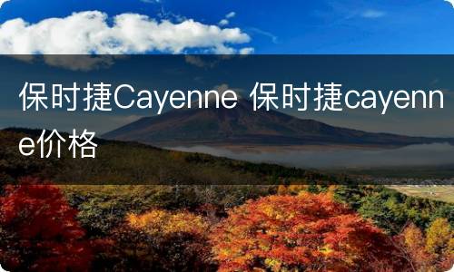 保时捷Cayenne 保时捷cayenne价格