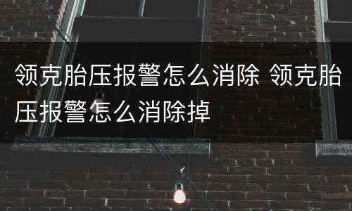 领克胎压报警怎么消除 领克胎压报警怎么消除掉
