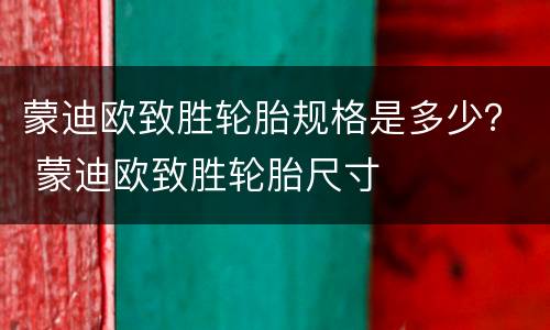 蒙迪欧致胜轮胎规格是多少？ 蒙迪欧致胜轮胎尺寸