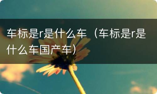 车标是r是什么车（车标是r是什么车国产车）