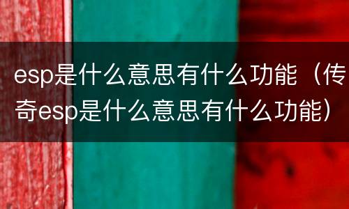 esp是什么意思有什么功能（传奇esp是什么意思有什么功能）