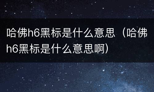 哈佛h6黑标是什么意思（哈佛h6黑标是什么意思啊）