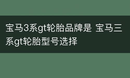 宝马3系gt轮胎品牌是 宝马三系gt轮胎型号选择