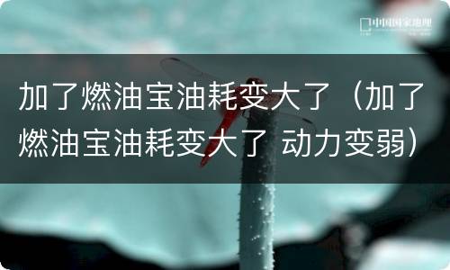 加了燃油宝油耗变大了（加了燃油宝油耗变大了 动力变弱）
